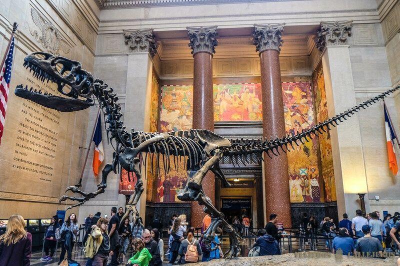 Top 10 museums in New York (free and fee-paying)